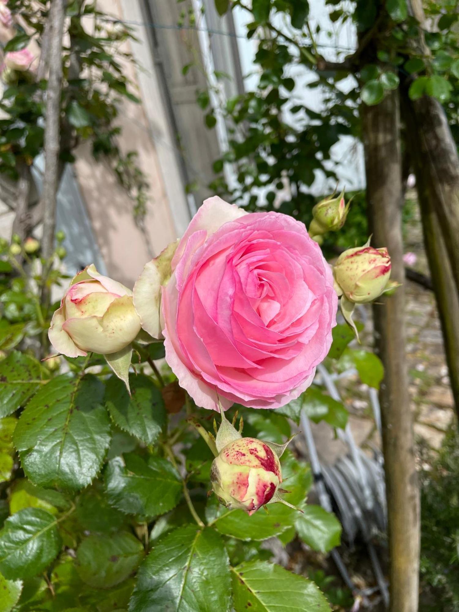 Belle Fontaine Hotel Bourges Kültér fotó